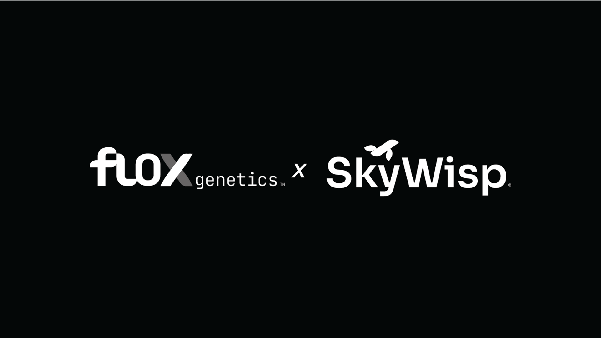 Designing Bold Brand Identities for SkyWisp and Flox Genetics