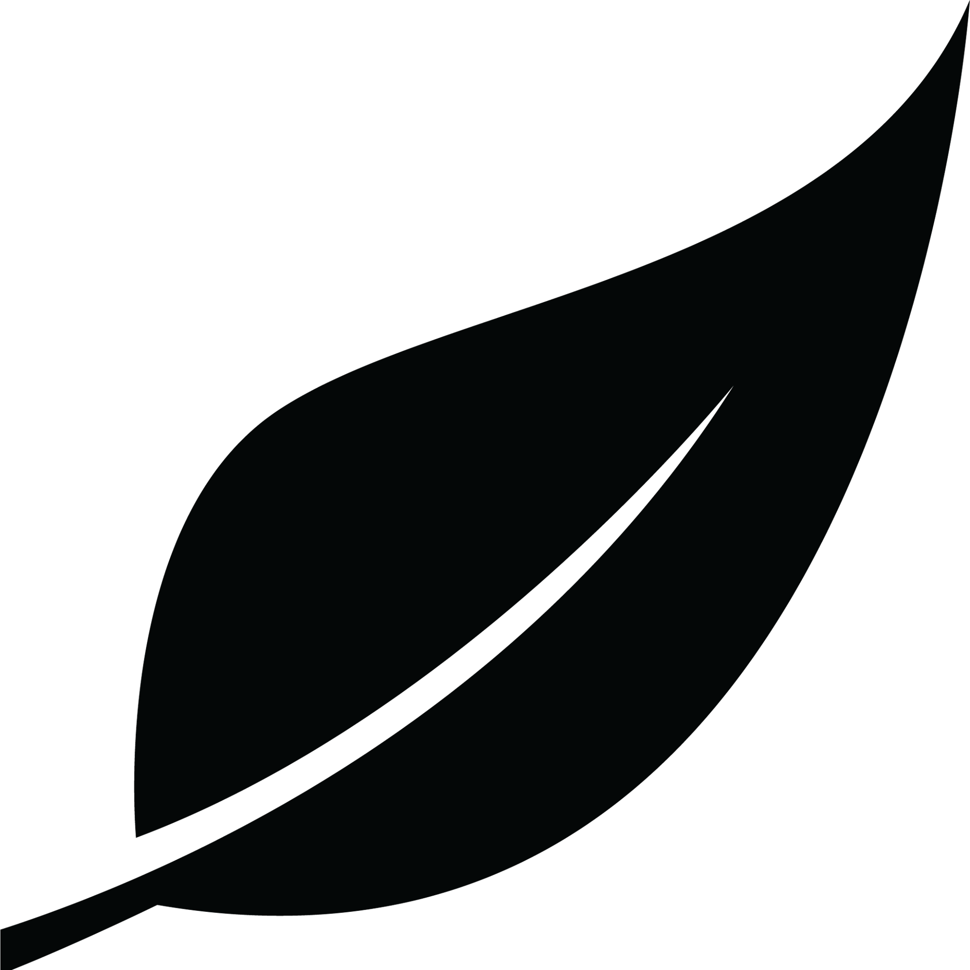 Black Icon