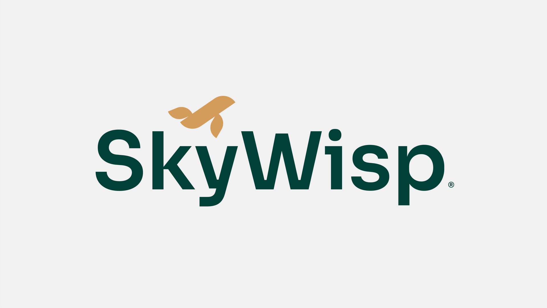 Primary Logo