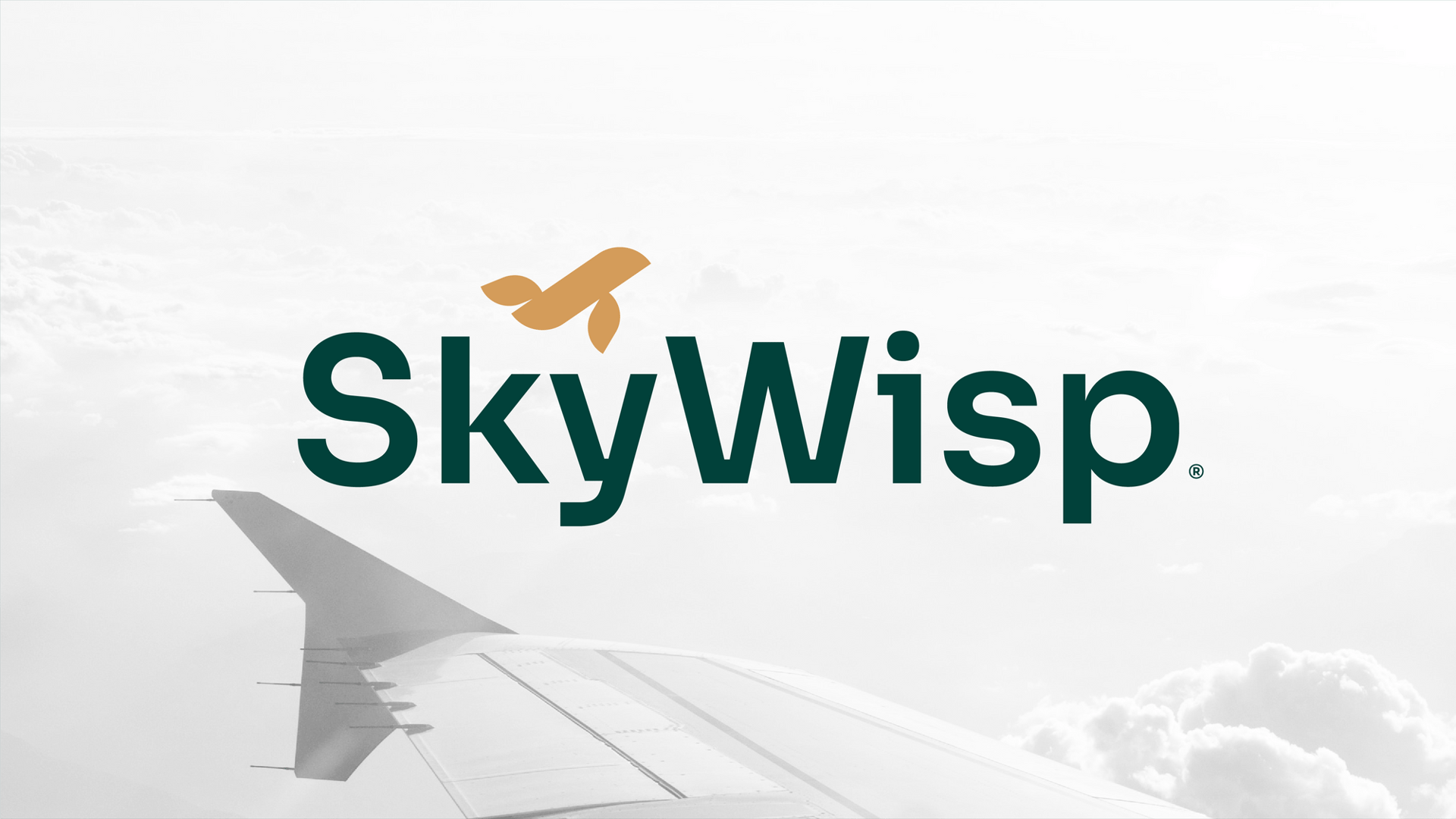 SkyWisp™